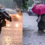 RAIN-86-2026-02-c02d92fe2226b0f24f510d5fb00978ce-3x2-2