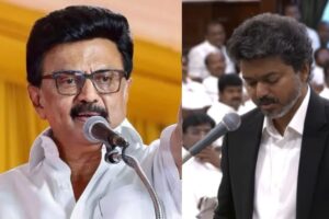 Stalin-2026-05-0a0fa797c9dd9ccd2299d7702fa67955-1200x800-1