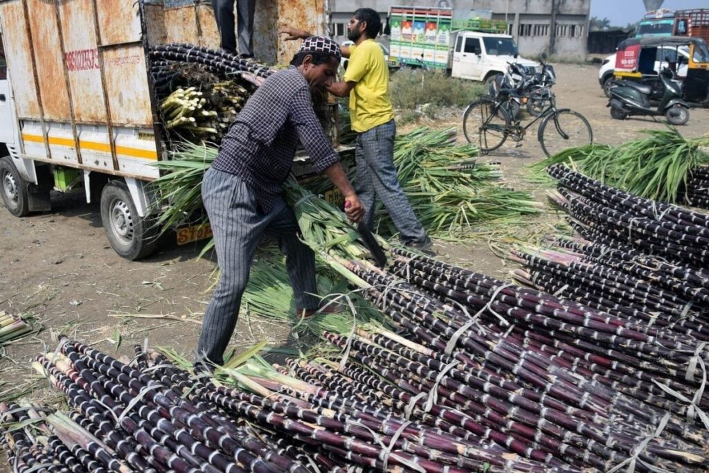 Sugarcane-2026-05-f9aed3ecf429b22aa98a3df91257e4bd-1200x800-1