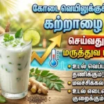 aloe1-1779001334
