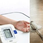blood-pressure-2026-05-2e43a11ef68bda170fd6ab018d112d49-1200x800-1