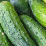 cucumberbanner-1779792093