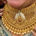 goldf11-1779856246