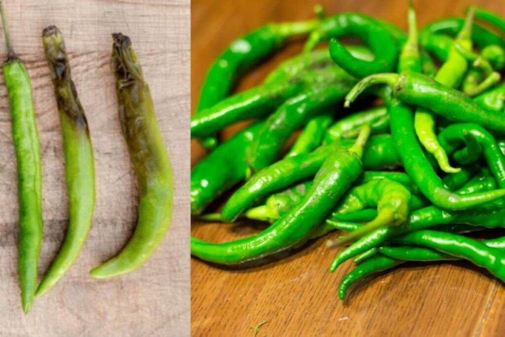 green-chilli-2026-05-257e64f52f9134f70940f6a7b8cbe86b-1200x800-1