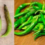 green-chilli-2026-05-257e64f52f9134f70940f6a7b8cbe86b-1200x800-1