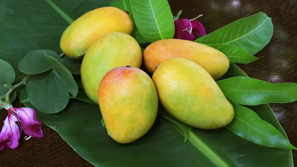 indian-mangoes-in-the-us12-1777974979