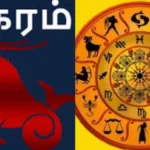 magaram-1779701337