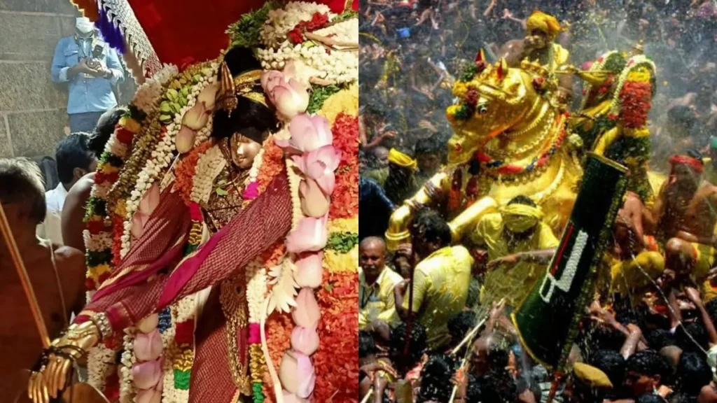 mandookamaharishi-1777638533
