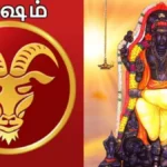 mesham-1779869006