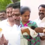 seeman1200-1779971401