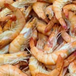 shrimpbanner-1779956478