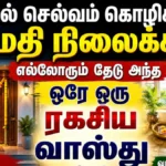 vastu-1779528709