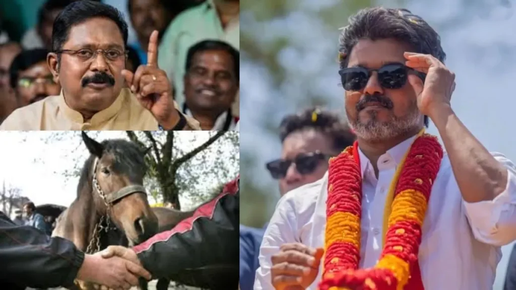 vijayhorse-1778307348