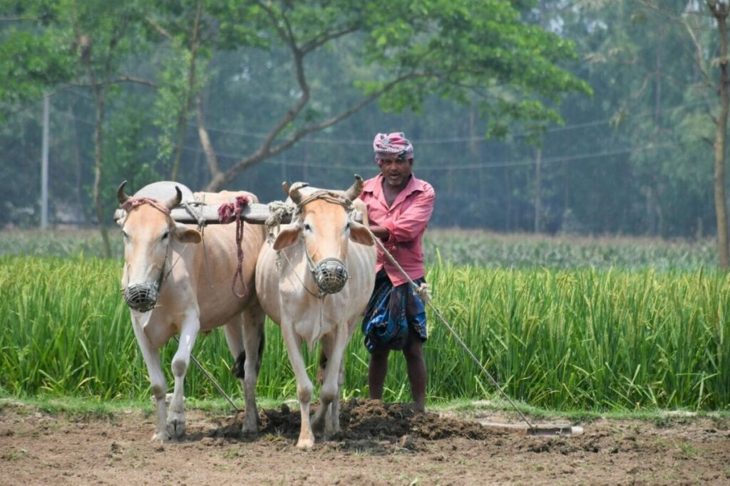 1779171445_1-West-Asia-War-Impacts-Farmers-as-Fertiliser-Prices-Rise-Up-to-20-says-report-1-2026-03-9d7de1c4ad3864f0f6bf267d9bba4096-1200x800-1