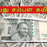 8thpayarear1-1781323274