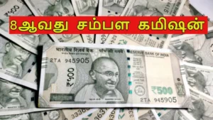 8thpayarear1-1781323274