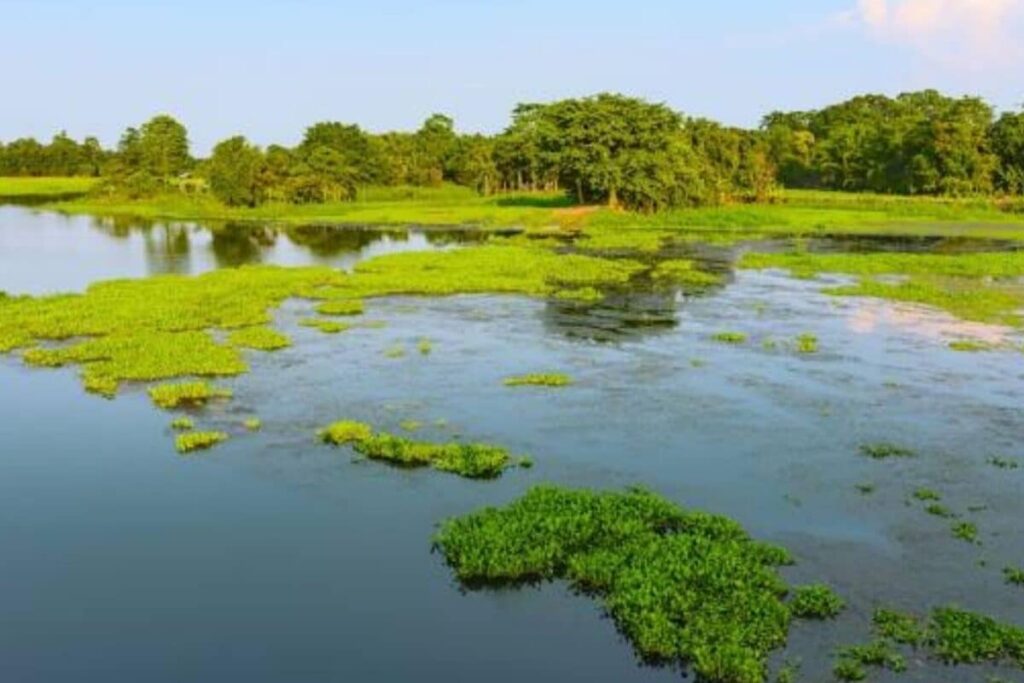 Majuli-Island-2026-06-4ae961d35d9ac62cbc33c35e902ecbeb-1200x800-1