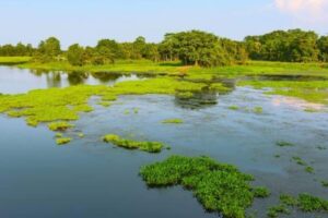 Majuli-Island-2026-06-4ae961d35d9ac62cbc33c35e902ecbeb-1200x800-1