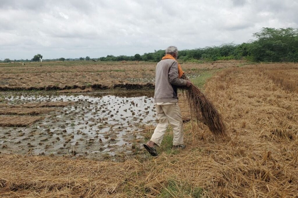 Monsoon-Farming-Tips-2026-06-2c00d96fae984cd3578e304bbe568fc8-1200x800-1