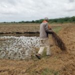 Monsoon-Farming-Tips-2026-06-2c00d96fae984cd3578e304bbe568fc8-1200x800-1