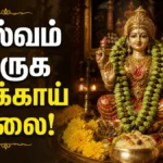 cardamom-and-clove-garland-remedy-for-mahalakshmi-blessings-and-wealth-prosperity_1200x675_1780367474445