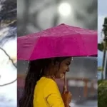 collage-1780450520