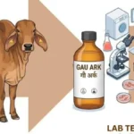 cow-urine-jpg-1782363519702_1782363519799-1200x675-1