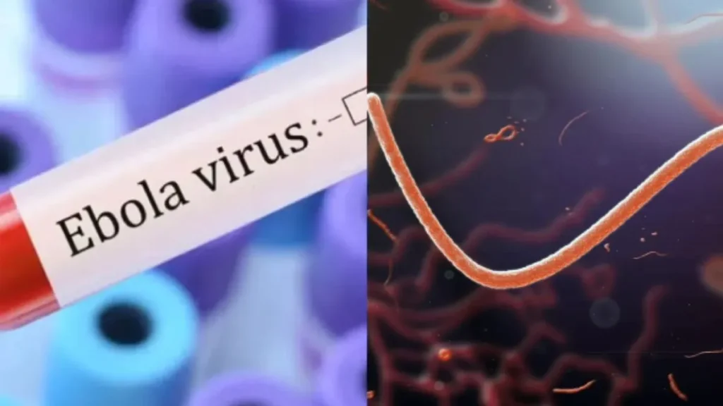 ebolabanner-1780394693