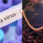 ebolabanner-1780394693