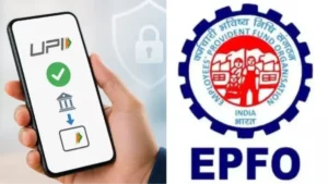 epfobanner1-1780397092