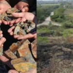 karnatakagolddiscovery-1782300575