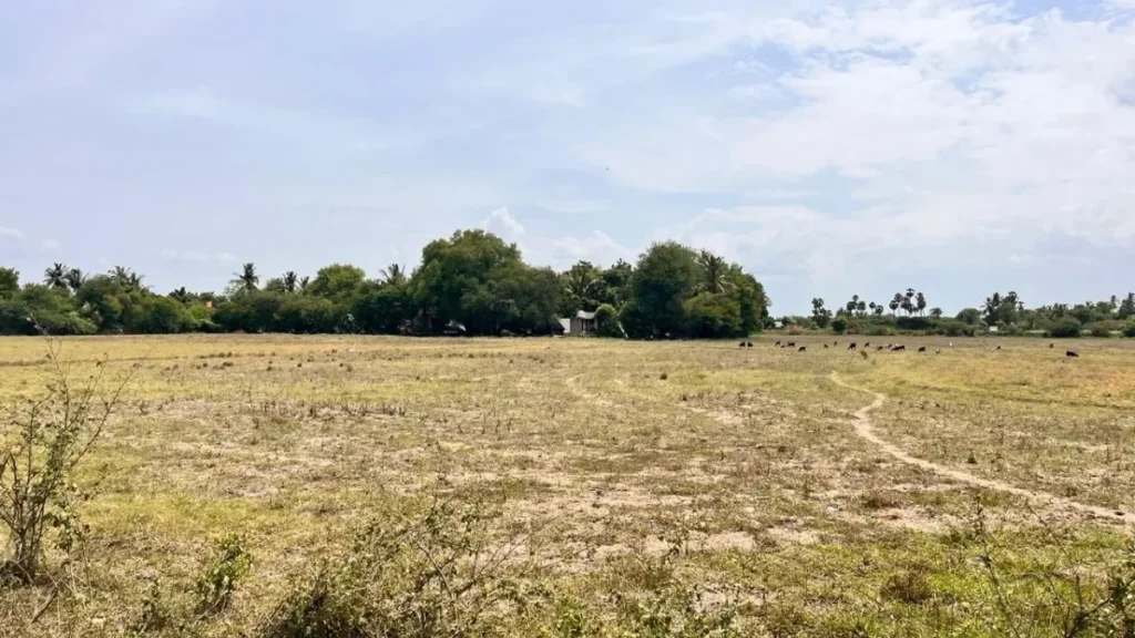 land-1780317015
