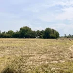land-1780317015