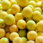 lemon-2026-06-da3cb32c1e206de65d468c6c98031777-1200x800-1
