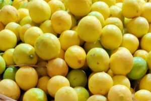 lemon-2026-06-da3cb32c1e206de65d468c6c98031777-1200x800-1