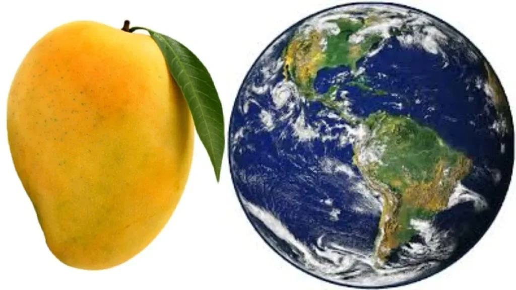 mango1-1781269545