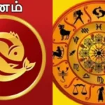 meena-1782730471