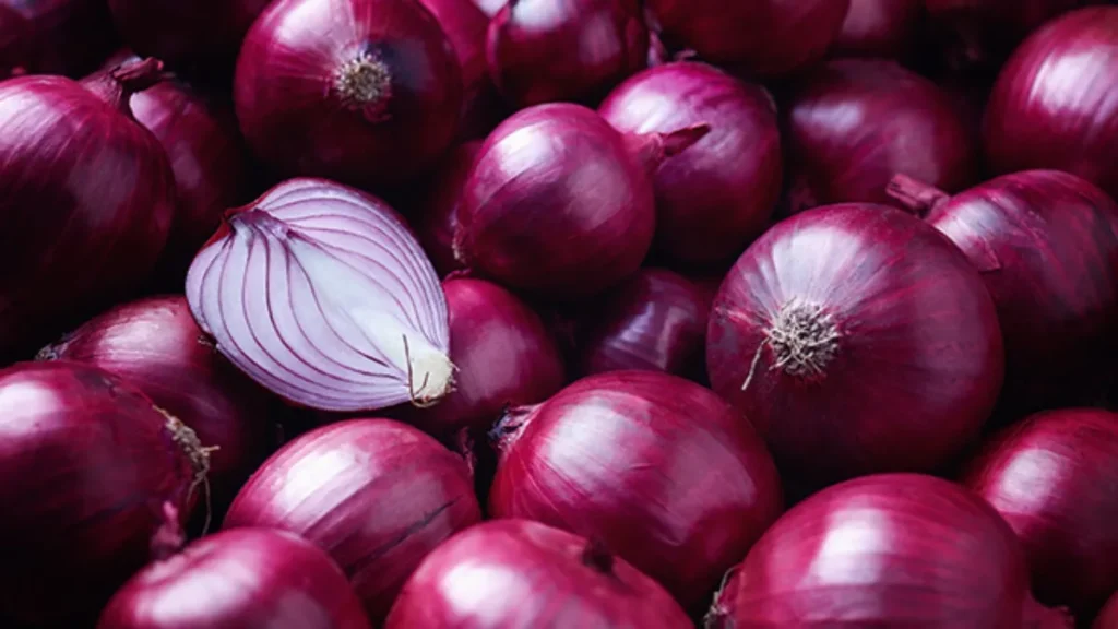 onion-1782812276