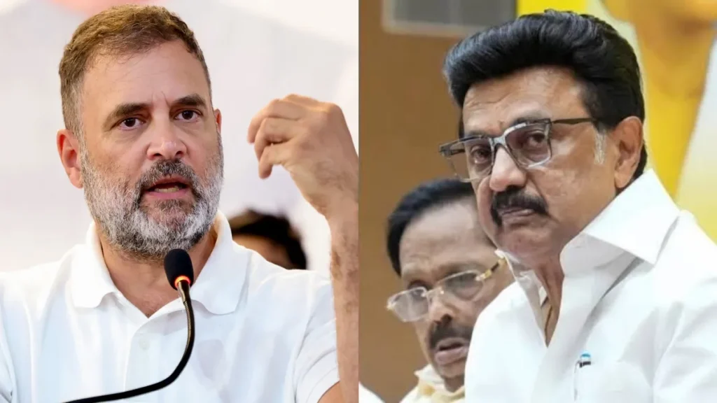 rahulurgestalin-1781863401