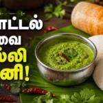 restaurant-style-green-coriander-chutney-recipe-healthy-kothamalli-chutney-for-tiffin_1200x675_1781763679662