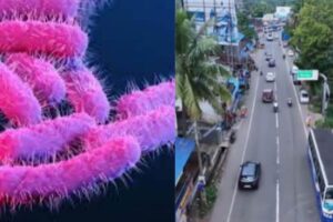 shigella-bacteria-2026-06-b4900cf70bd76197e9d589c935a971e9-1200x800-1