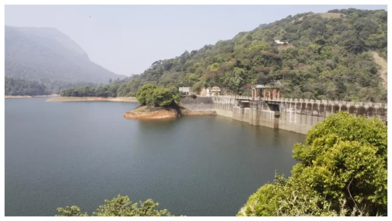 siruvanifea-1782275325