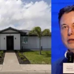 spacexelonmusk1-1781329747