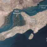 usa13-1780289478