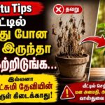 vastu-2026-06-9f7c3c21e17c4e7b47f8cc0814cad599-1200x800-1