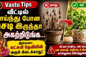vastu-2026-06-9f7c3c21e17c4e7b47f8cc0814cad599-1200x800-1