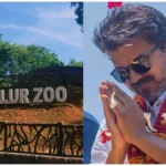 vijay-1781718514