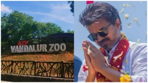 vijay-1781718514