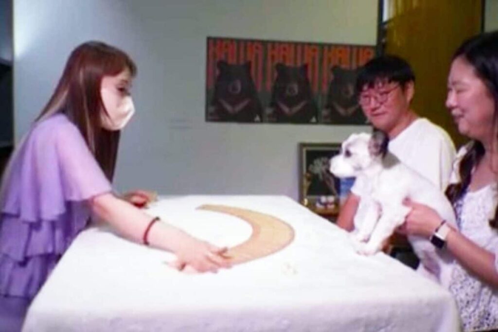 Dog-Fortune-South-korea-Feature-image-2026-07-da099045771e99b9e05cc67360b9500d-1200x800-1