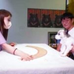 Dog-Fortune-South-korea-Feature-image-2026-07-da099045771e99b9e05cc67360b9500d-1200x800-1